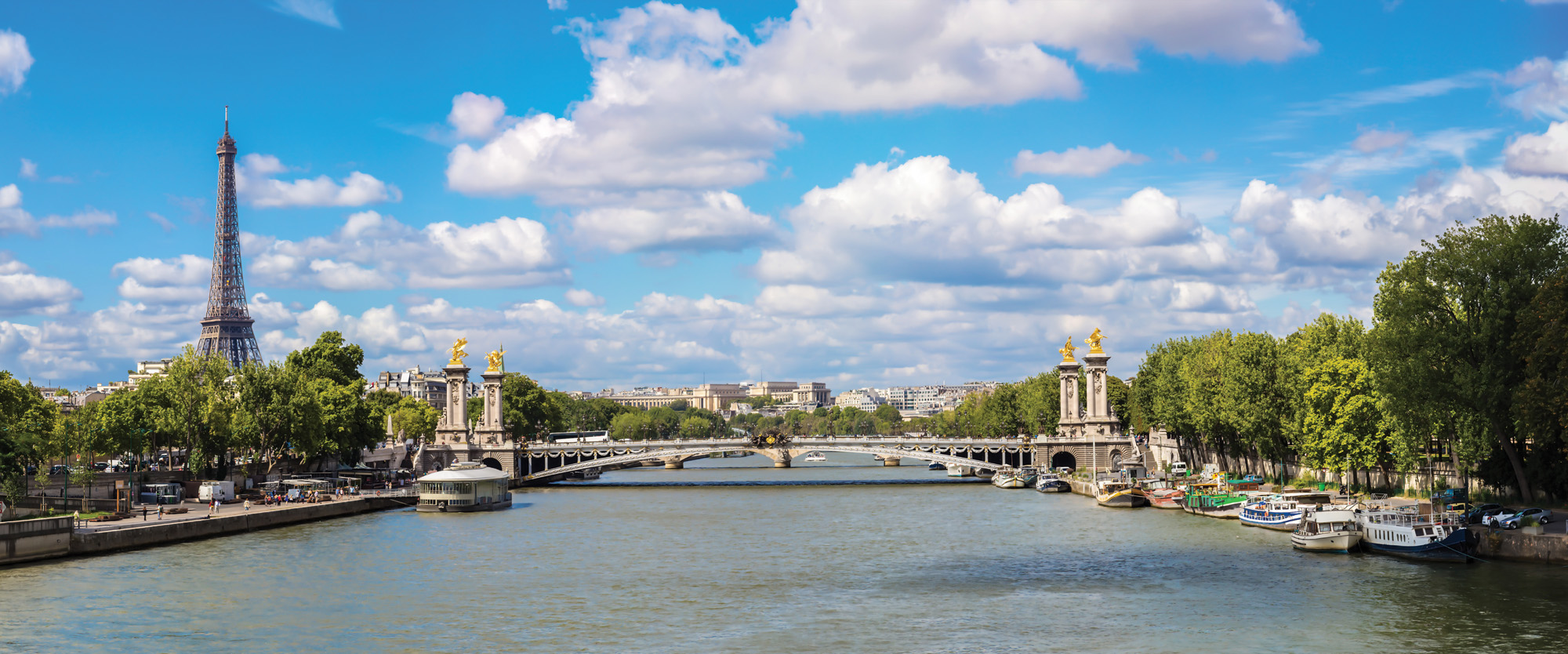 Partner Соло (Solo) 2876VEP