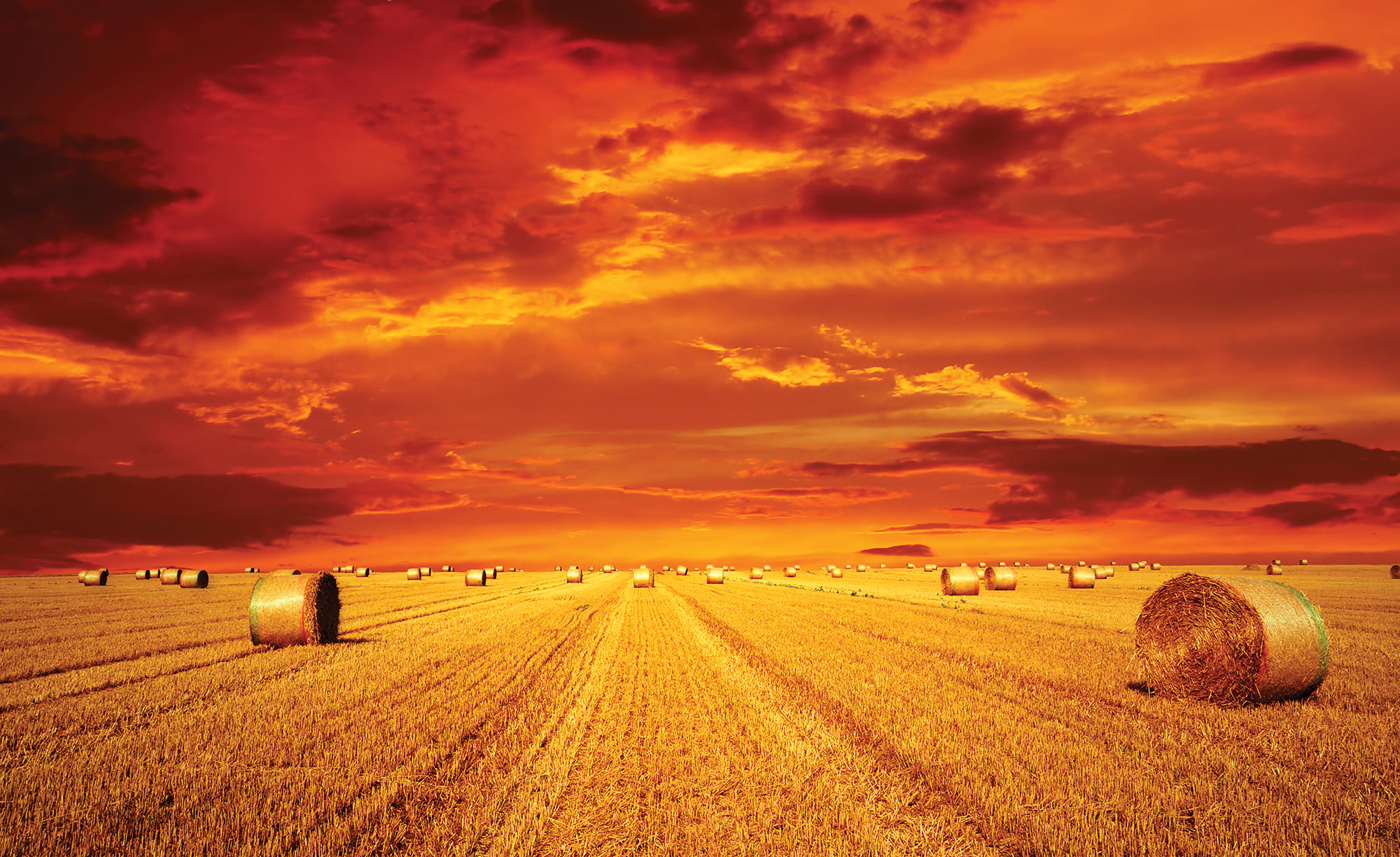 Partner Соло (Solo) 414P8