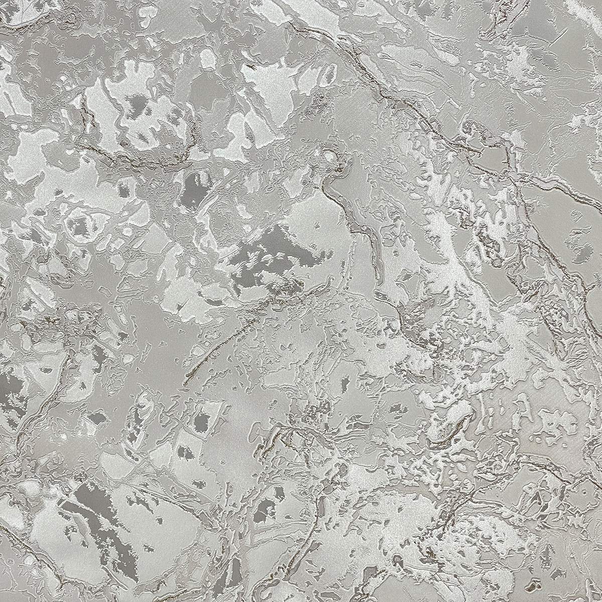 Monica Лучи (Rays) MK81912