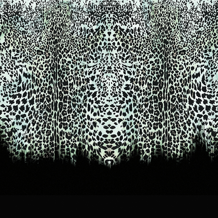 Emiliana Parati Roberto Cavalli №8 19113