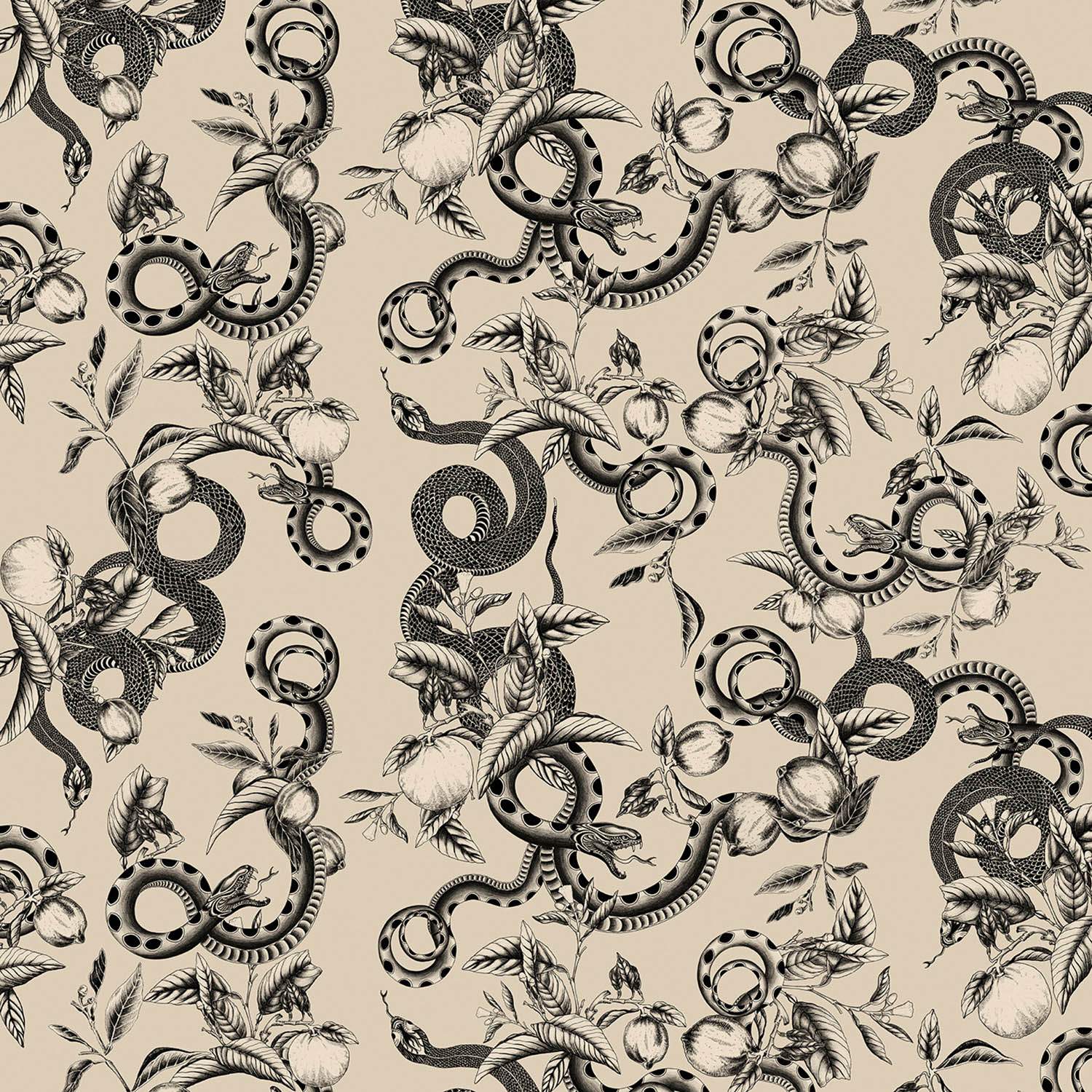 Emiliana Parati Roberto Cavalli №9 21106