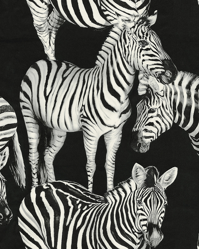 Emiliana Parati Dolce&Gabbana №1 30023DG