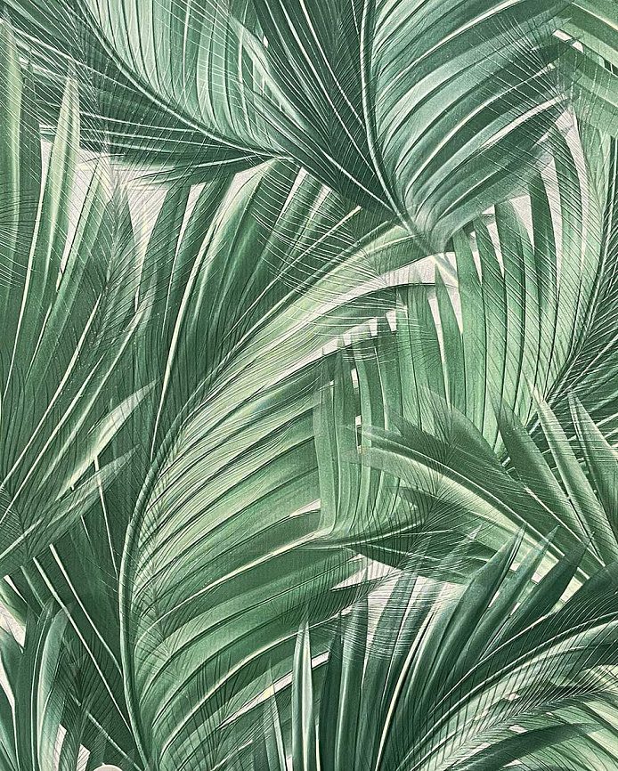 Haoya Эстетичный (Estetico) HK66051