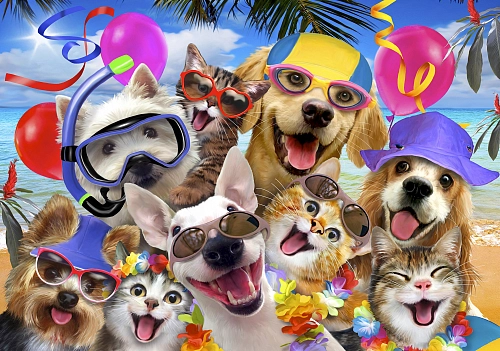 Partner Селфи-Соло (Selfi-Solo) 12865V8